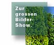 Viele weitere Bilder und Panoramen.